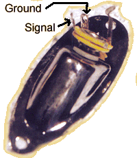 Typical Mono Output Jack