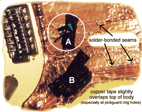 Shielded Body Cavity